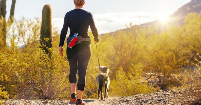 Why I chose to be a mobile chiropractor  image